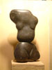Athletic Torso