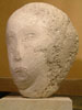 Girl's Head