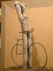 Woman on Bicycle