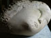 Stone Head
