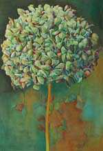 DreamTree