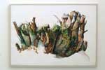 Oak Tree Stump