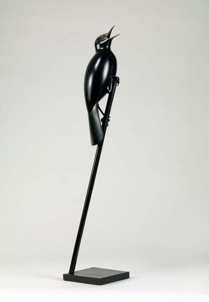BlackbirdII