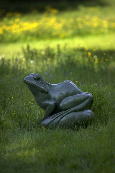 MonFrog