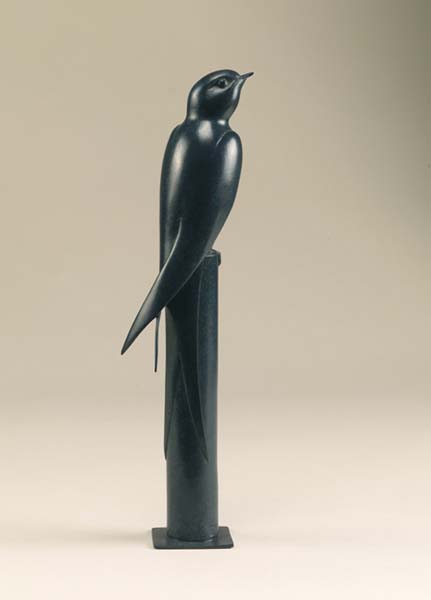 Swallow