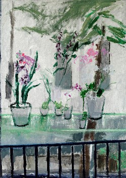 Julie Held