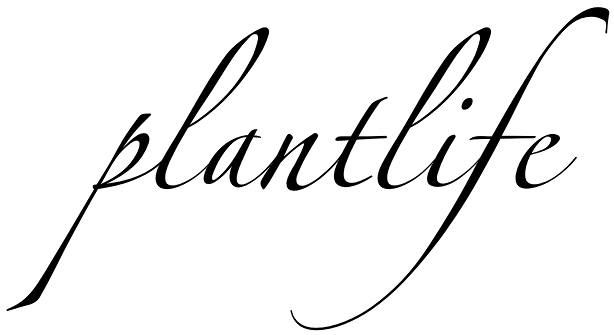 plantlife
