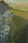 Steep hillside in the shade (pastel) 23" x 15"