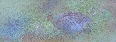 Grey Partridge Hen, Oil Tempera on Board, 8� x 22 in.